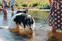 Romy in der donau