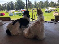 Romy und Mina auf der Trib&uuml;hne